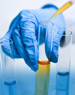 Исследования