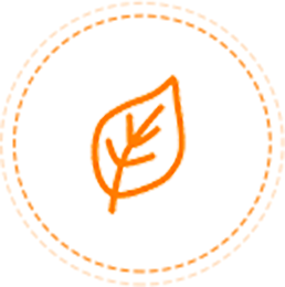 Освежающие ароматы